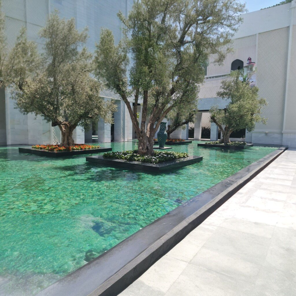 grass-natural-pool-landscape-massor-maroc (2)
